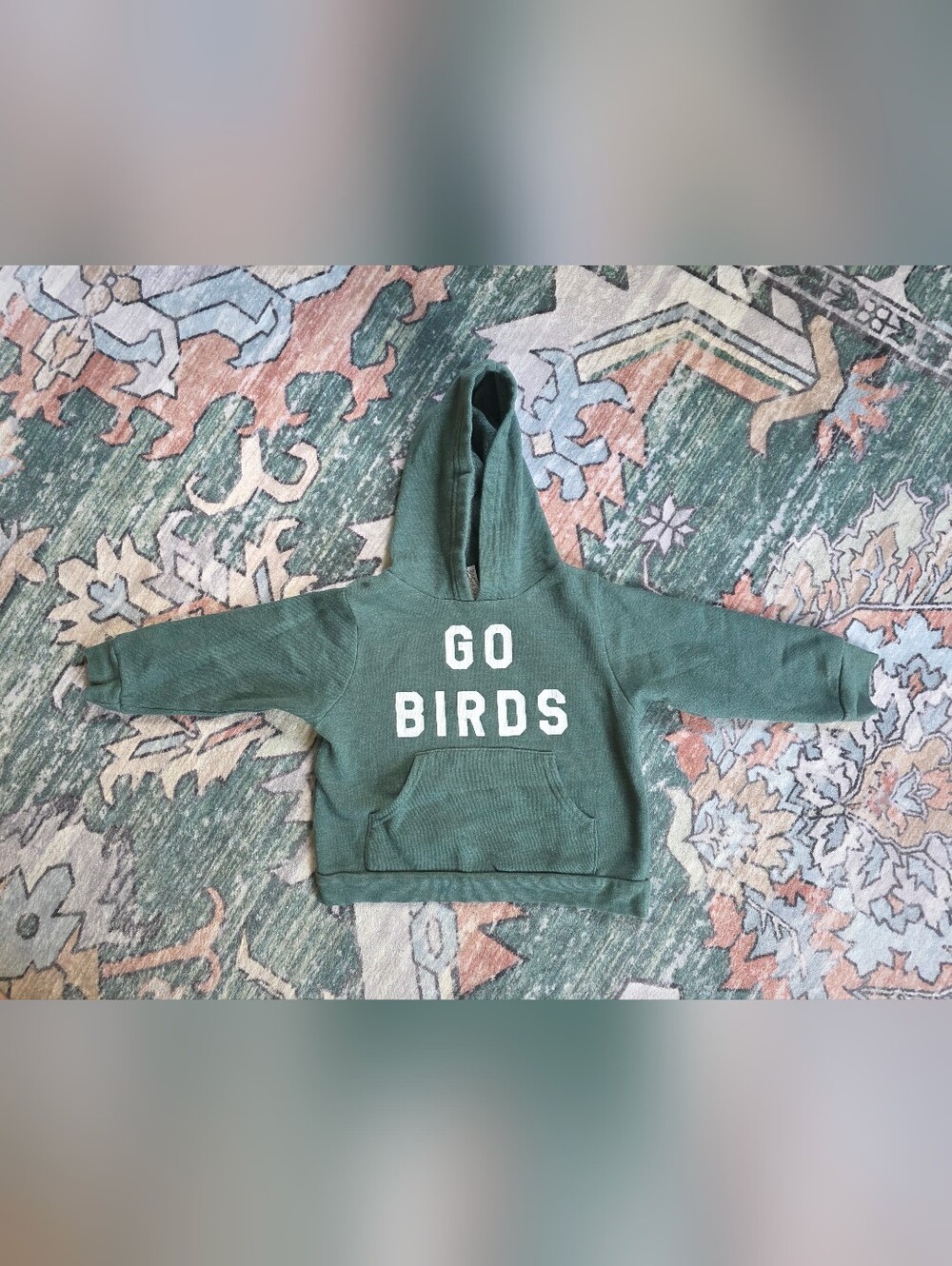 Eagles Hoodie 'GO BIRDS'